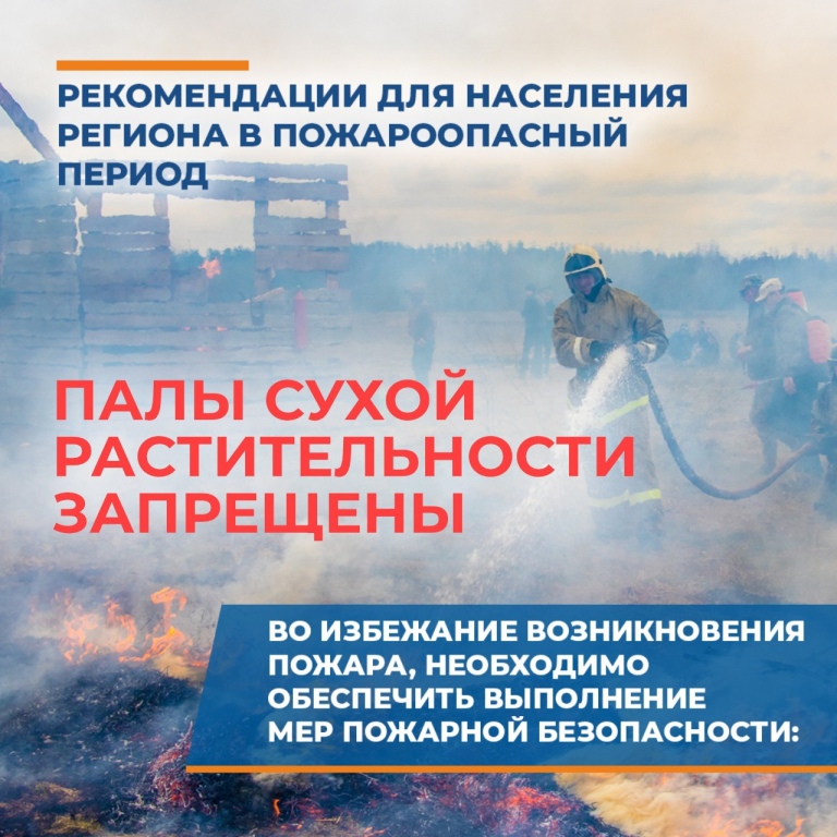 пал 1.jpg пал 1.jpg